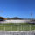 Riqualificazione dello stadio Artemio Franchi. Approvato il progetto esecutivo, parte la gara.  Aggiudicazione entro il 31 dicembre, primi lavori a gennaio 2024